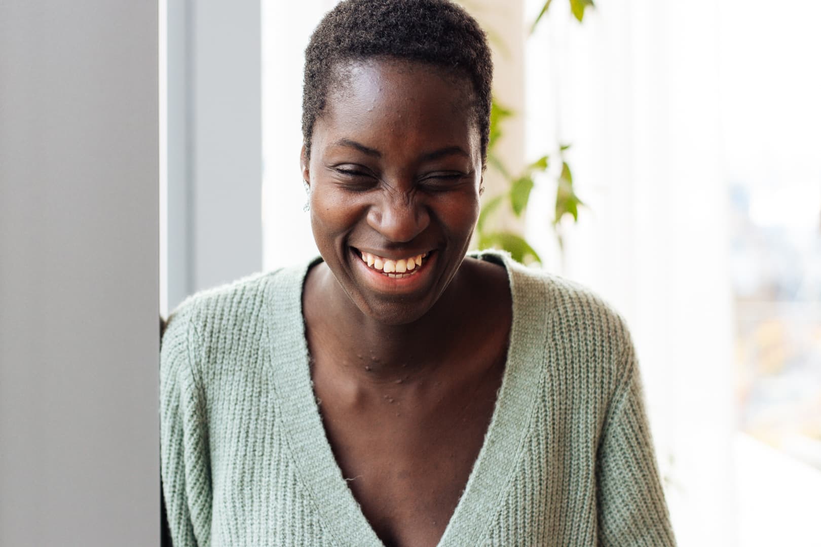 The Werks Dominique van Werkhoven